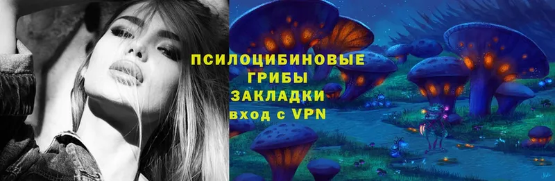 Галлюциногенные грибы Magic Shrooms  Тосно 